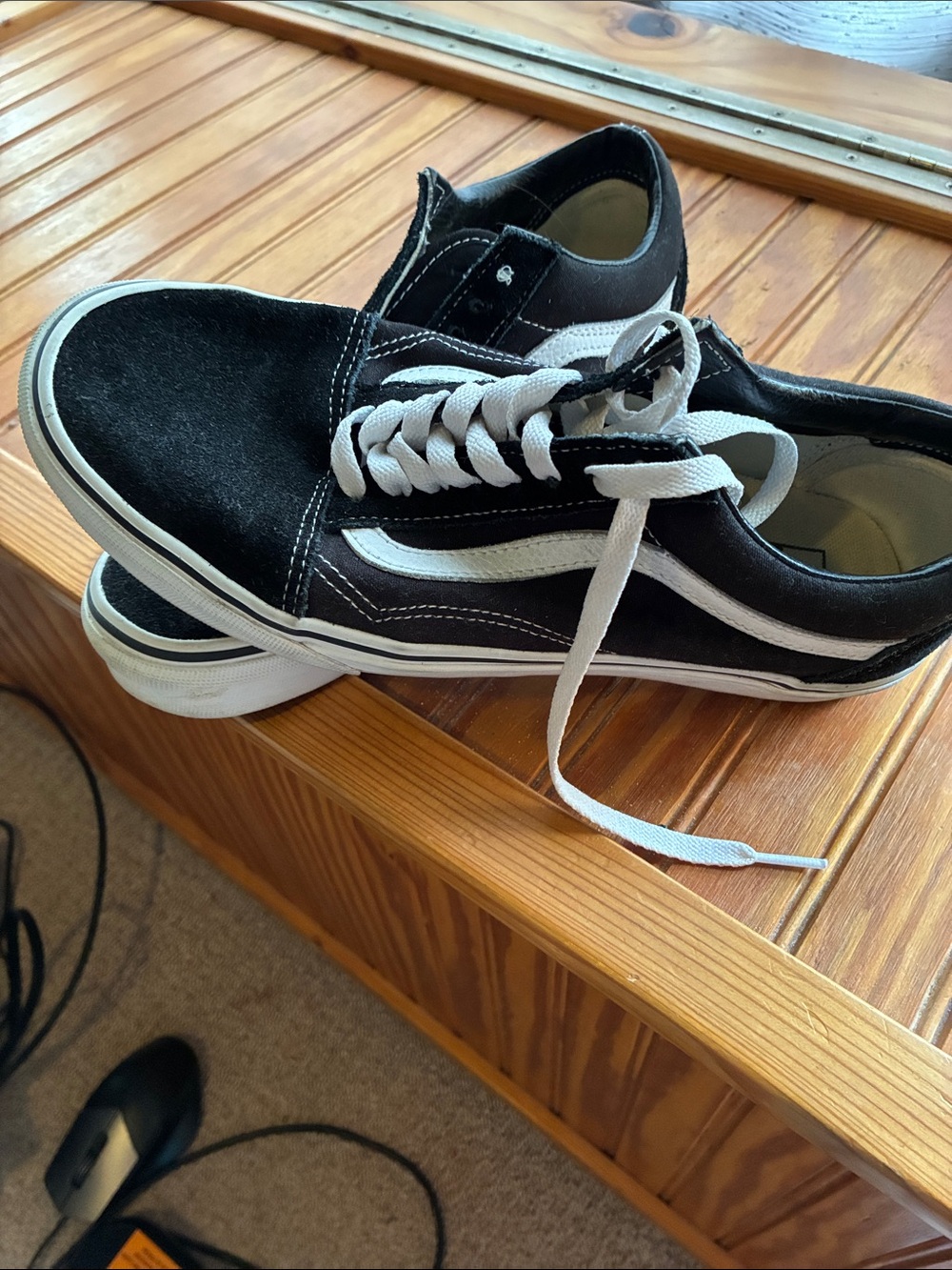 Vans Black and White Low-Top Canvas Skate Sneakers